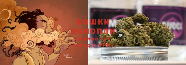 героин Бикин