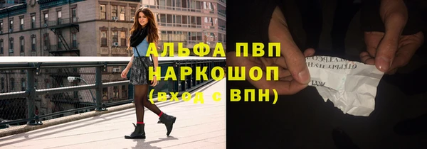 СК Беслан